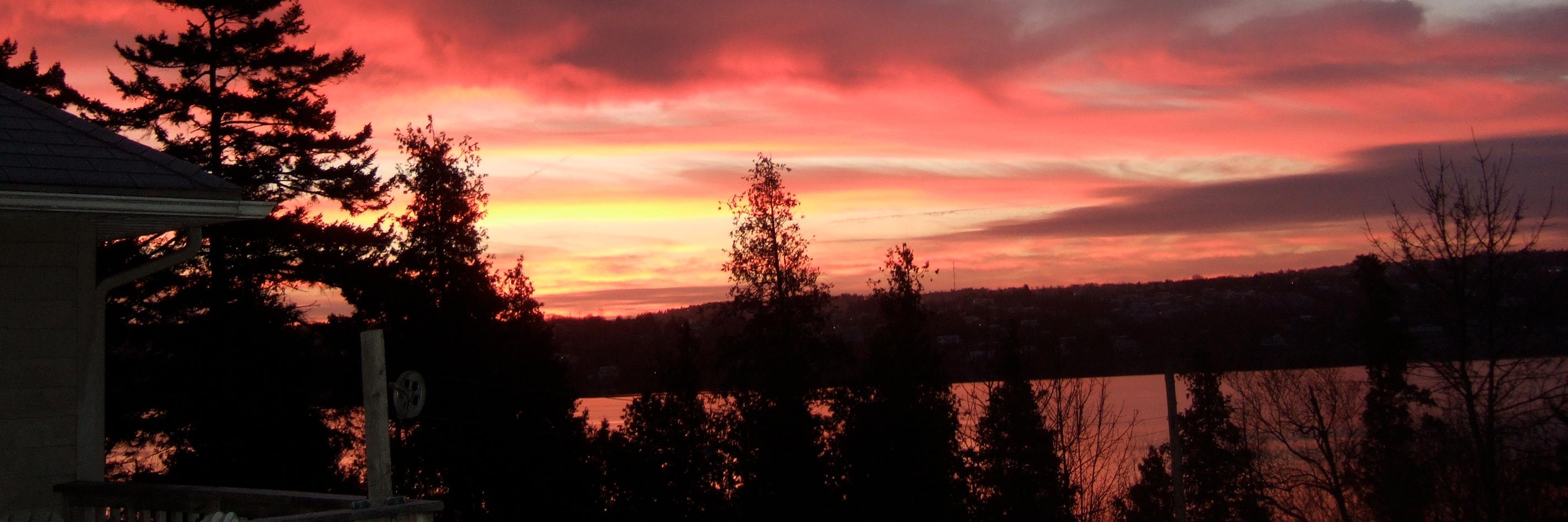 Alec Stratford banner