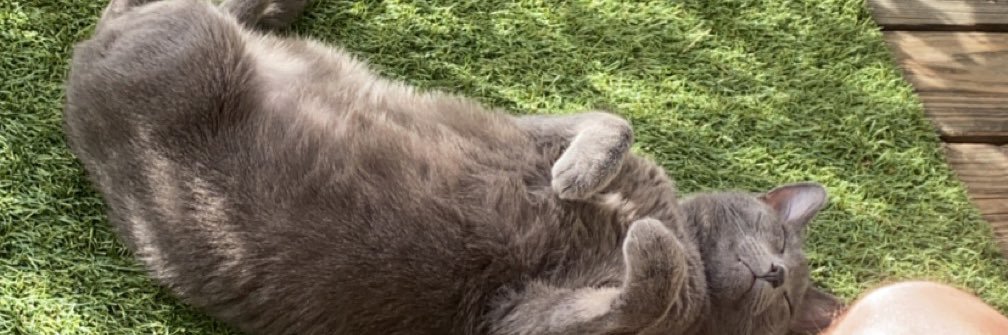 petercc5's profile banner image