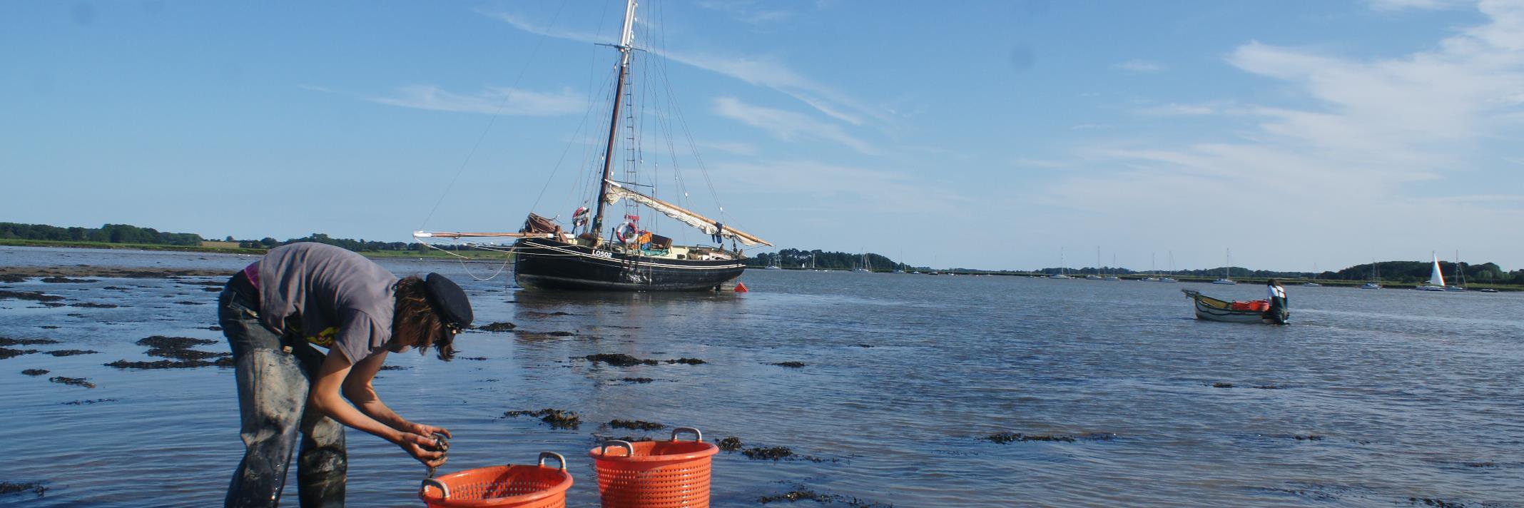 Jonathan Simper banner