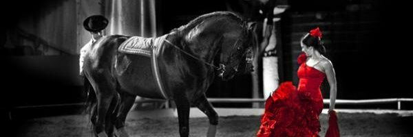 OfficialJavo's profile banner image