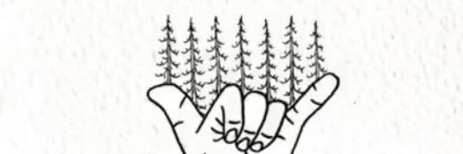 cole_fun's profile banner image