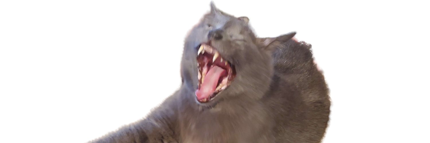 ImQuiteMoist's profile banner image