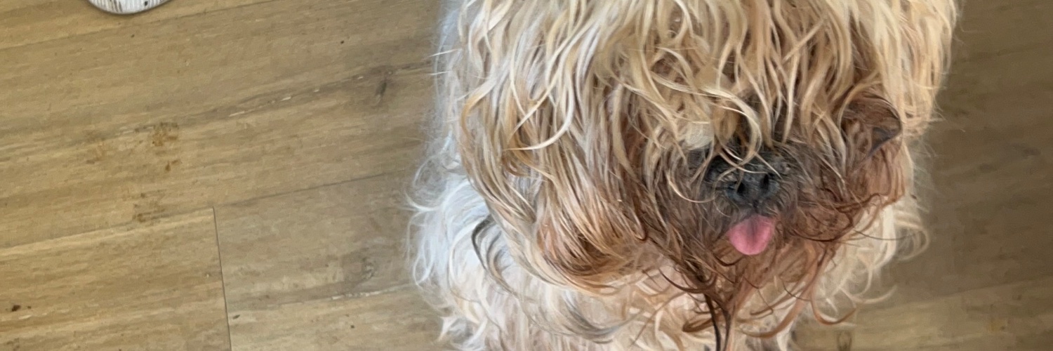 Hilberry38's profile banner image