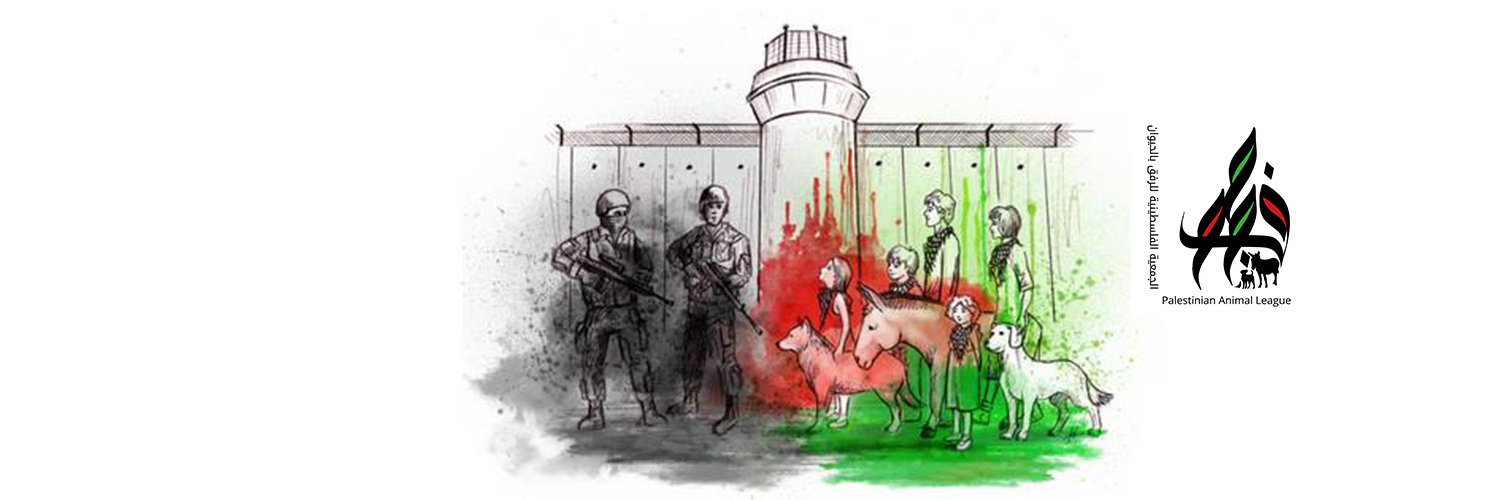 PalLeague's profile banner image
