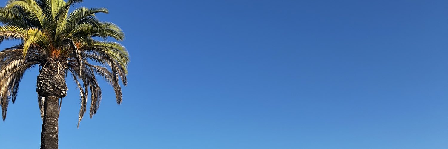 AlexisGray13's profile banner image
