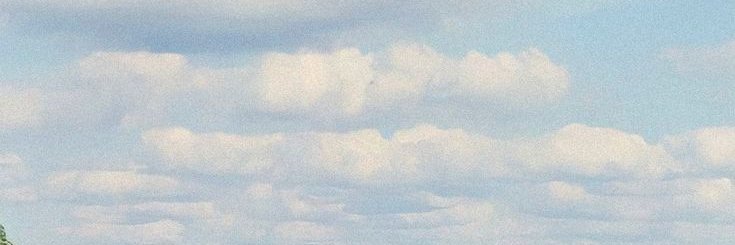 duda banner