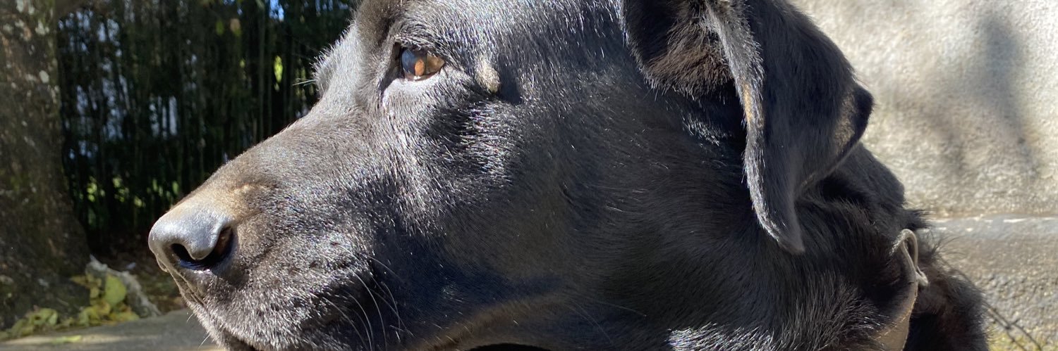 juesxx's profile banner image