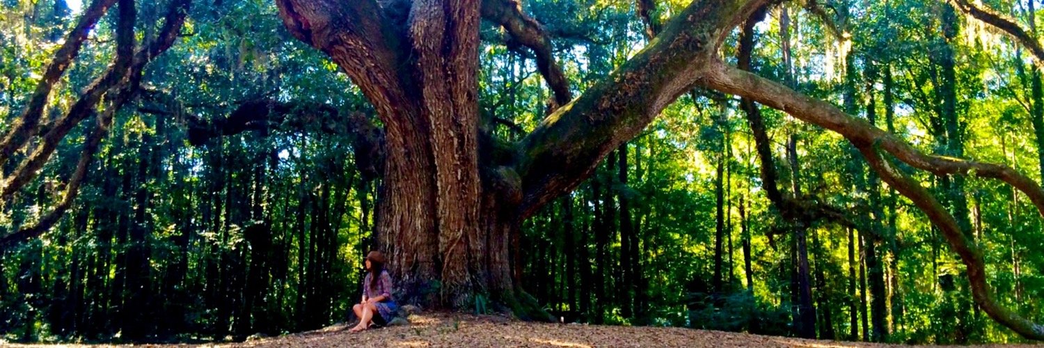 TaylorShear's profile banner image