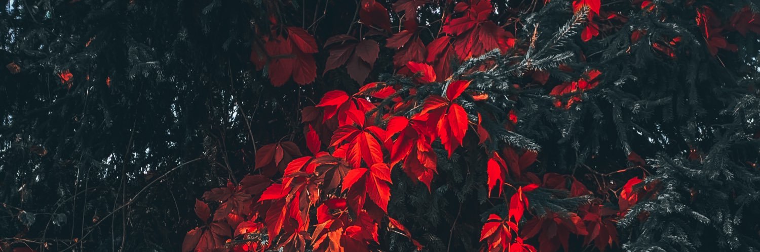 eeasy_goingg's profile banner image