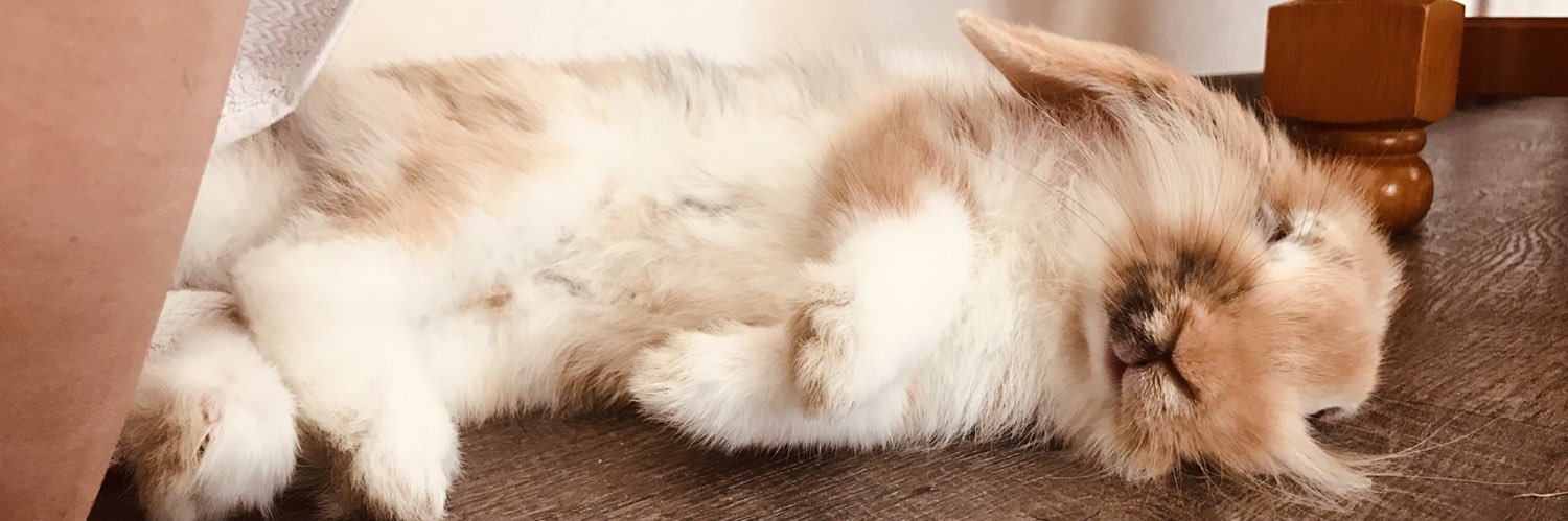 Prissou__'s profile banner image
