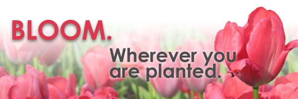 GraphicGator Profile Banner