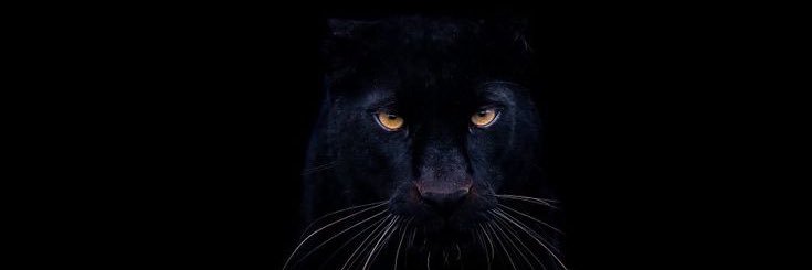 Heisst_'s profile banner image