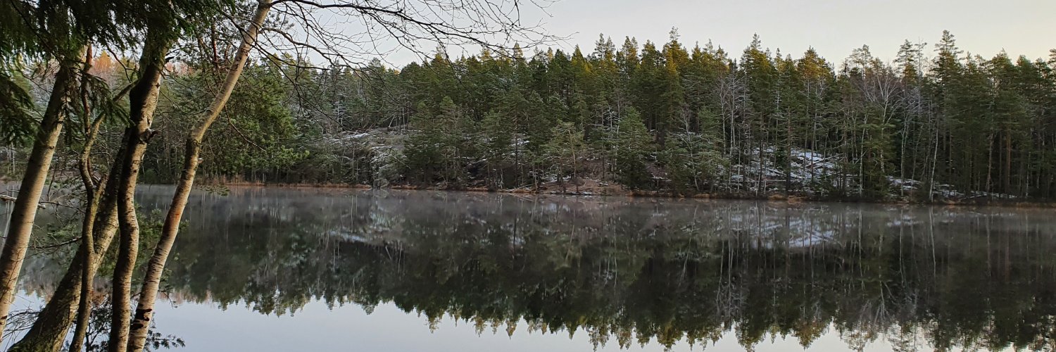 Merja Mantila banner