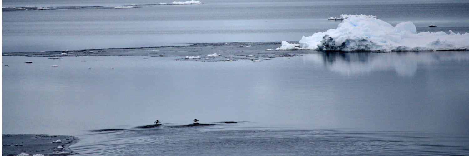 Andrew Constable banner