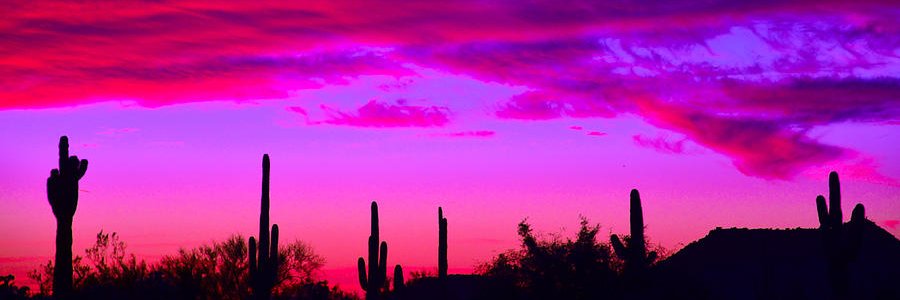 Lauroo61's profile banner image