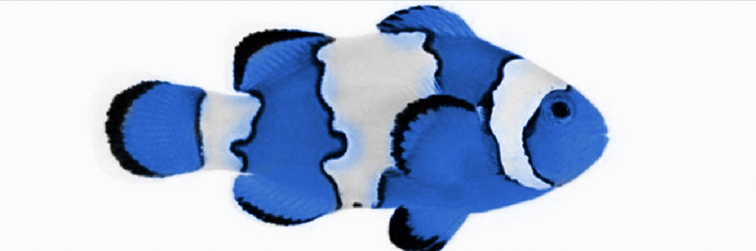Patrick_Fulton's profile banner image