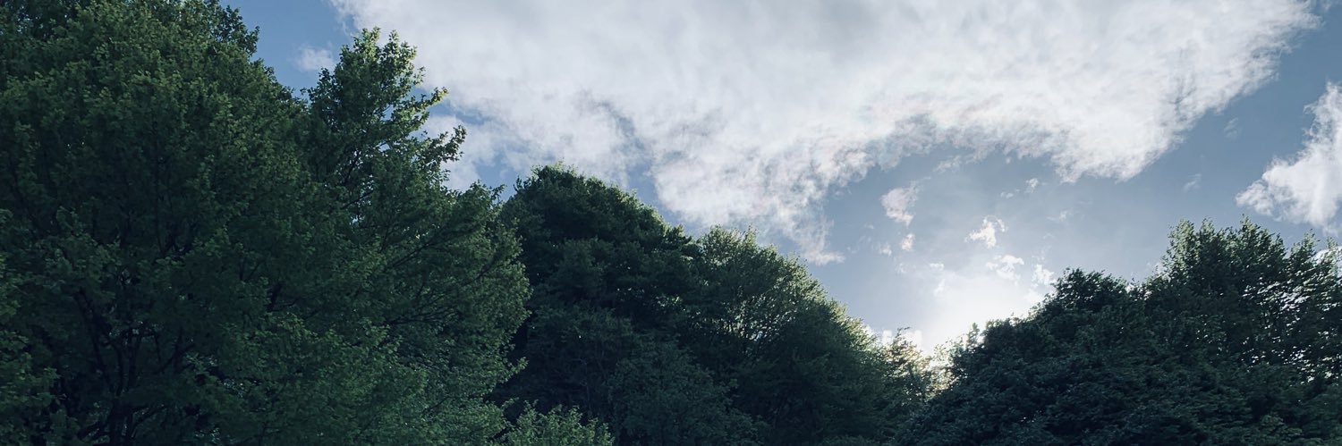 takeshlters's profile banner image