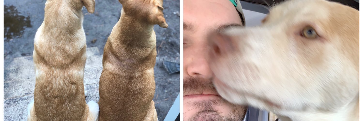 king_trident1's profile banner image