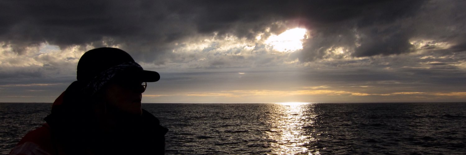 arctic_y's profile banner image