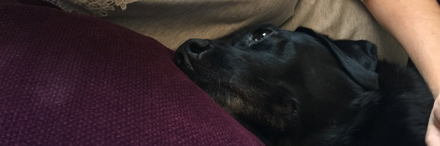 kaggington's profile banner image