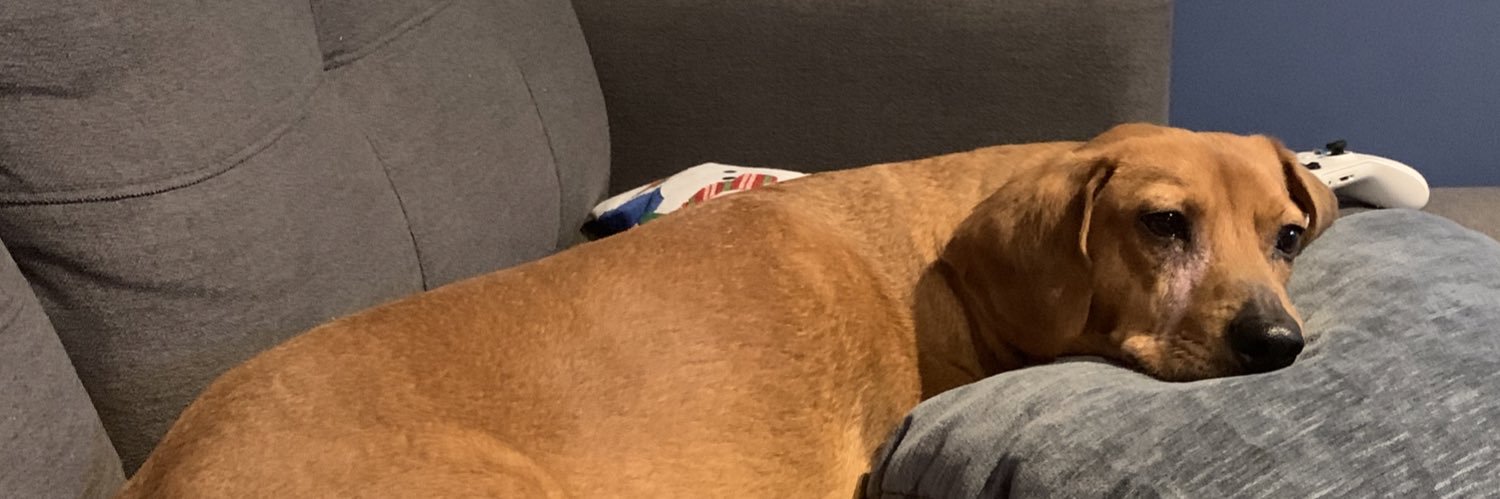 KatieCroston's profile banner image