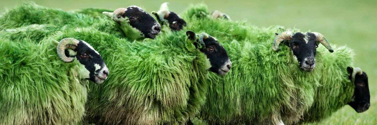 IrishCarlotta's profile banner image