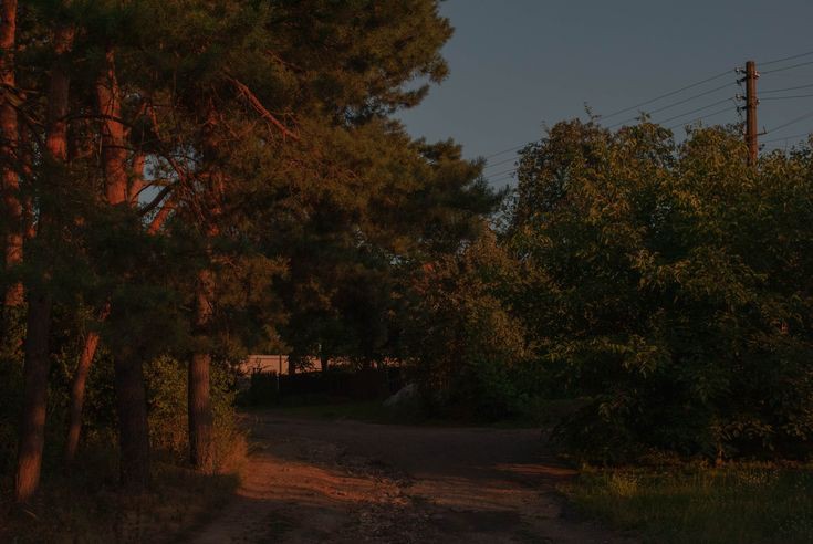 Carinadfnt's profile banner image