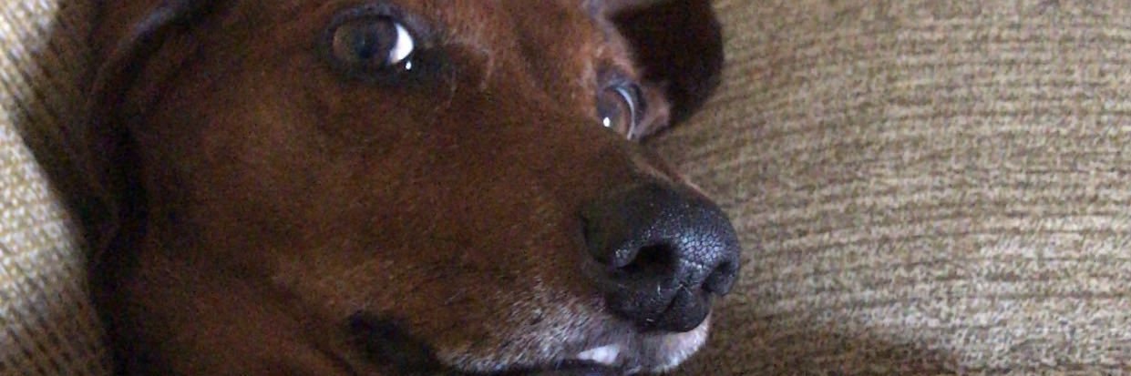 cury_julia's profile banner image