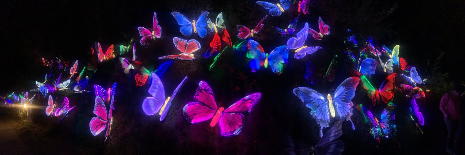 MLescallette's profile banner image