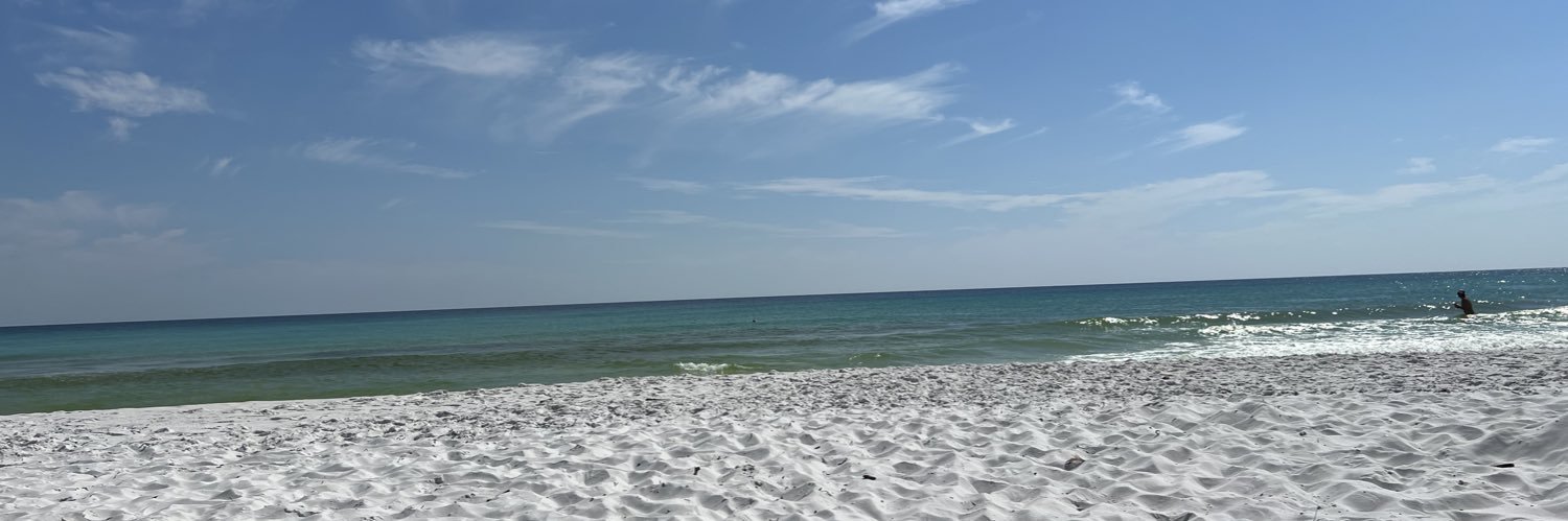 stldebbie2011 banner