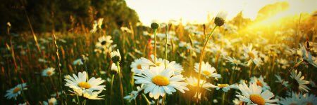 BeyoutifulShay_'s profile banner image