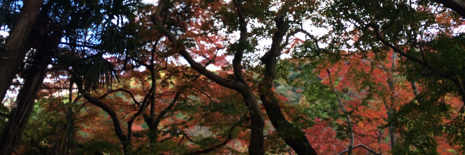 Mogehime's profile banner image