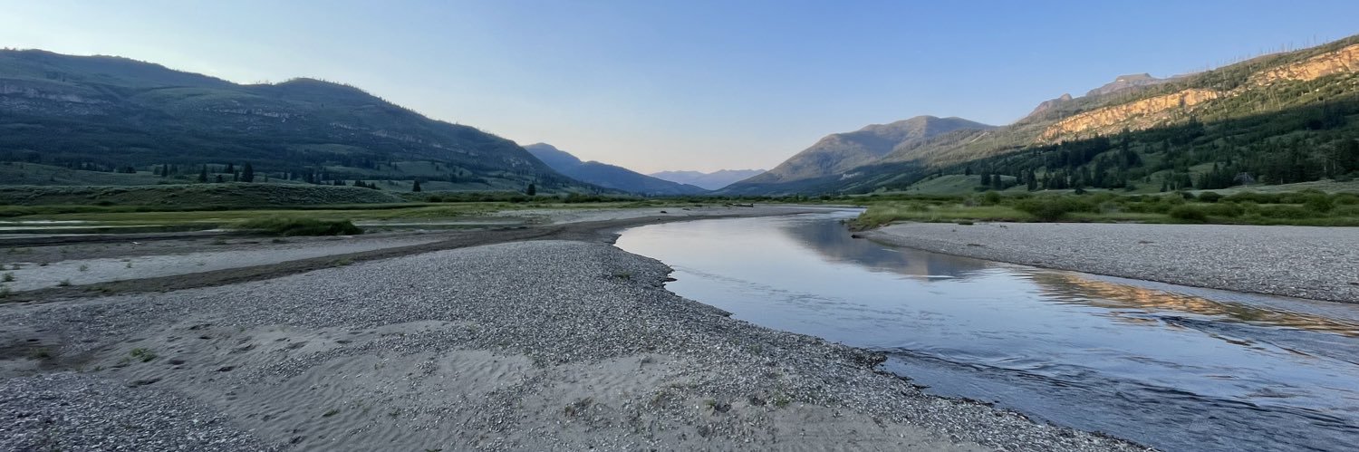 David Manning banner