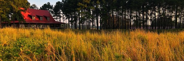 Tobacco Road Profile Banner