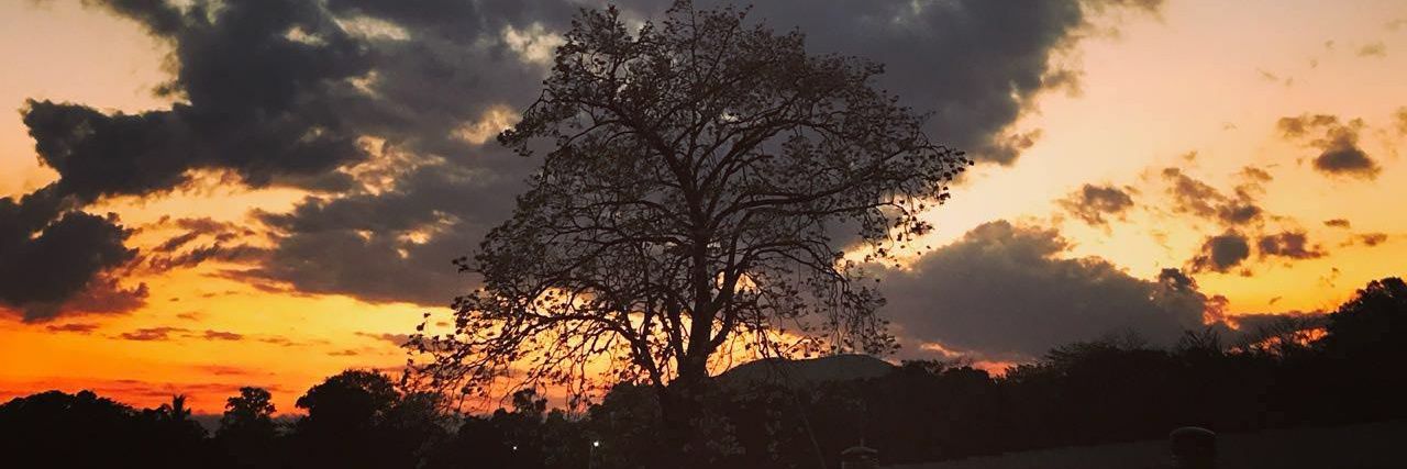 Marie_GonzR's profile banner image
