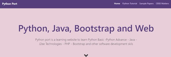 pythonport Profile Banner