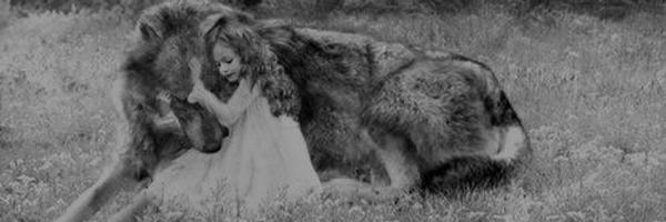 JacobBlackLP Profile Banner