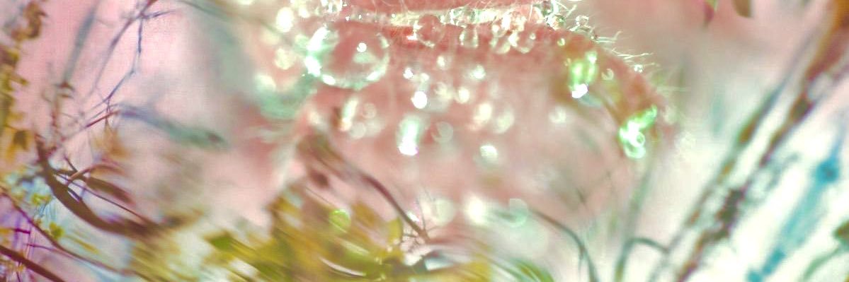 danielazochoa's profile banner image