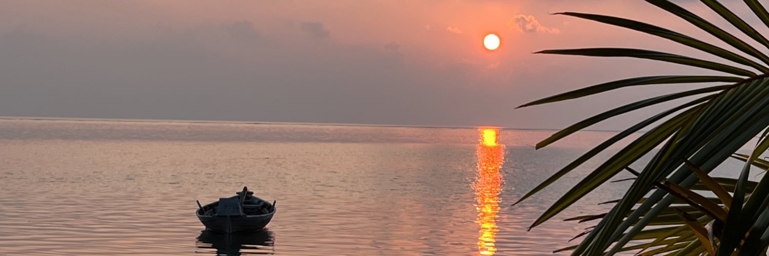 aliadham_'s profile banner image