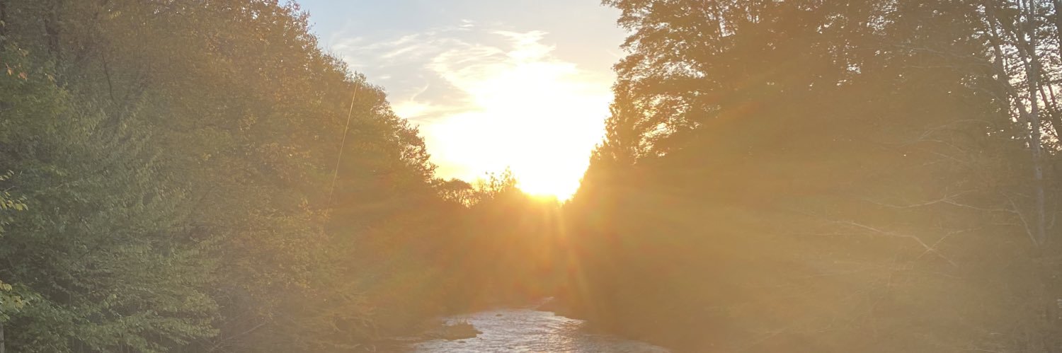 amybrightfield's profile banner image
