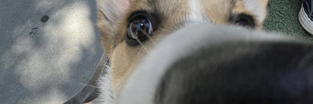 Parkusama's profile banner image