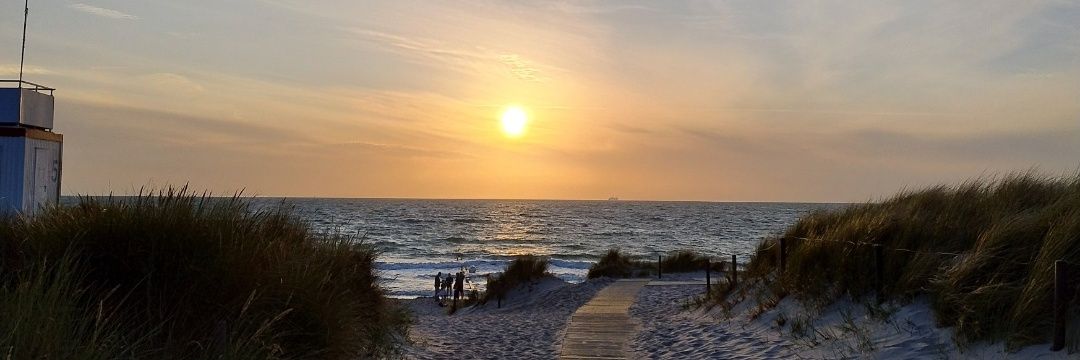 Anne..🎈🌹🎈🎉🎁 banner