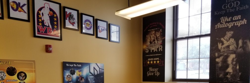 Women's Pro Hoops 🏀 banner