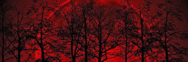BrutalParasite's profile banner image