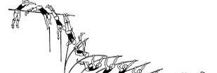 PacersJumpers's profile banner image