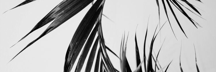 heatherLguard's profile banner image