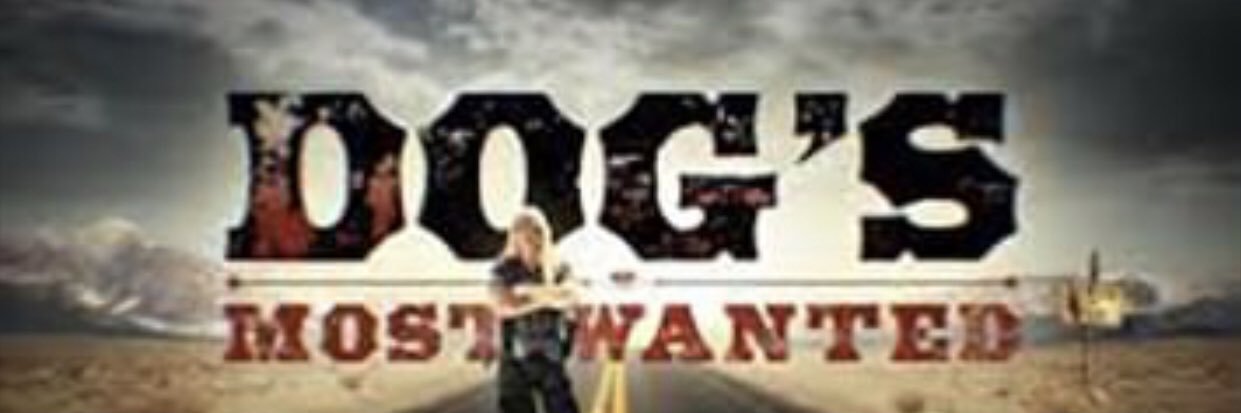 David Robinson banner