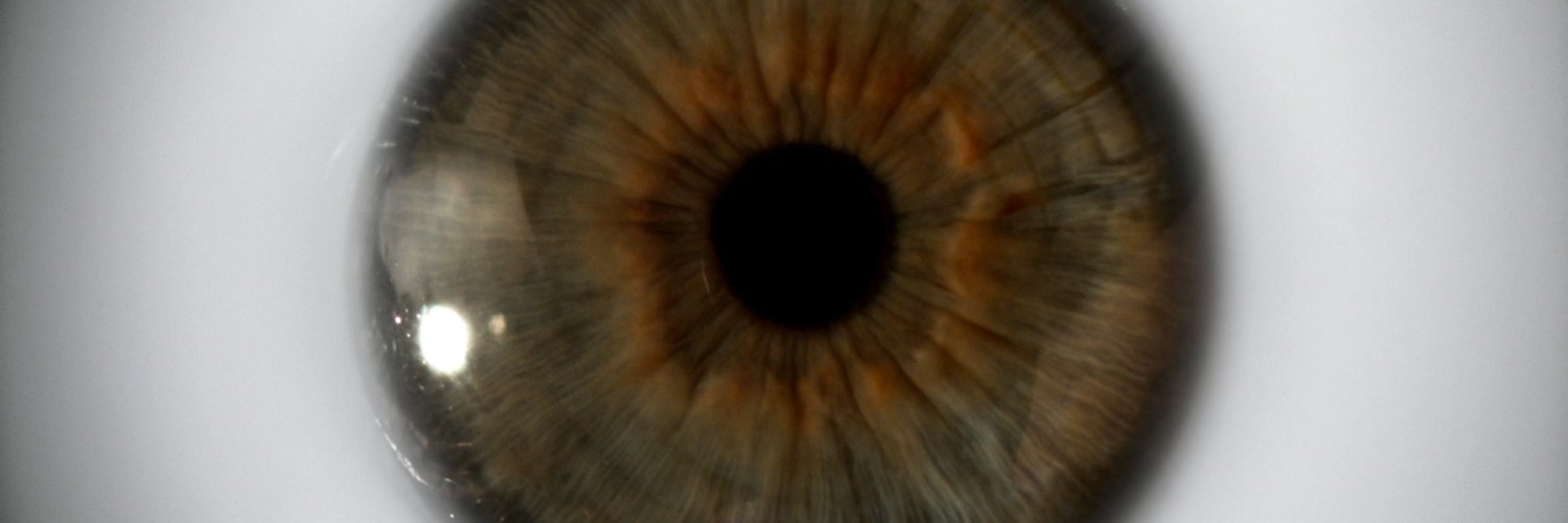 Gonenc Uyanik banner