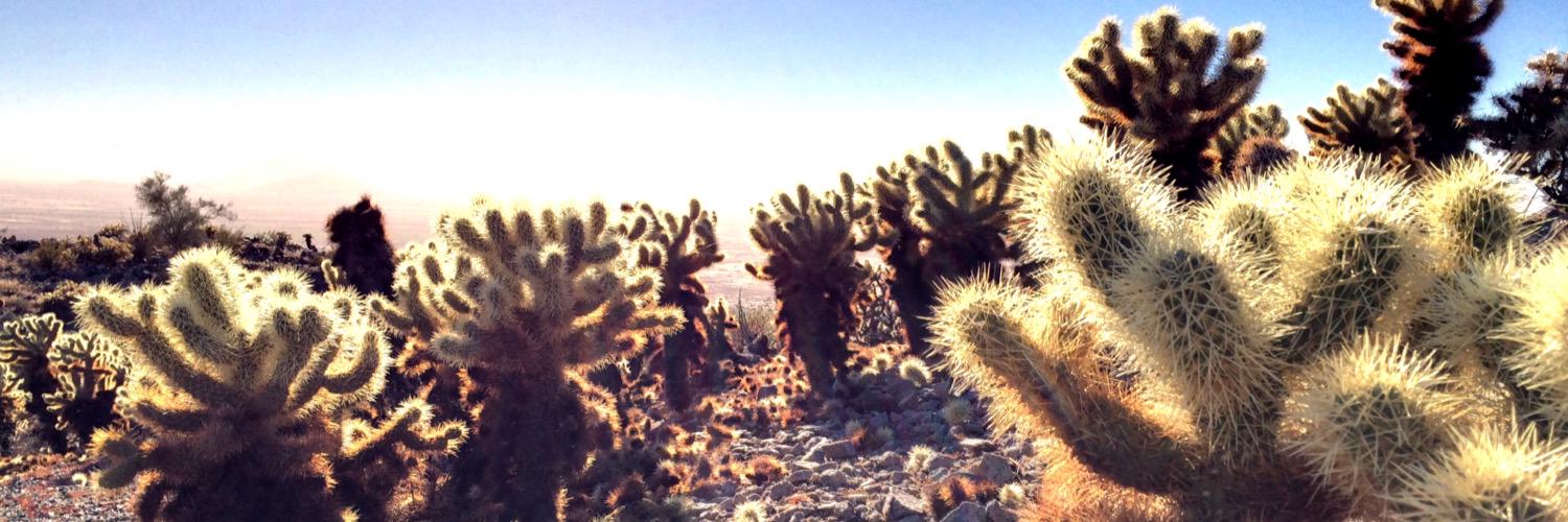 〽️ vs Everybody banner