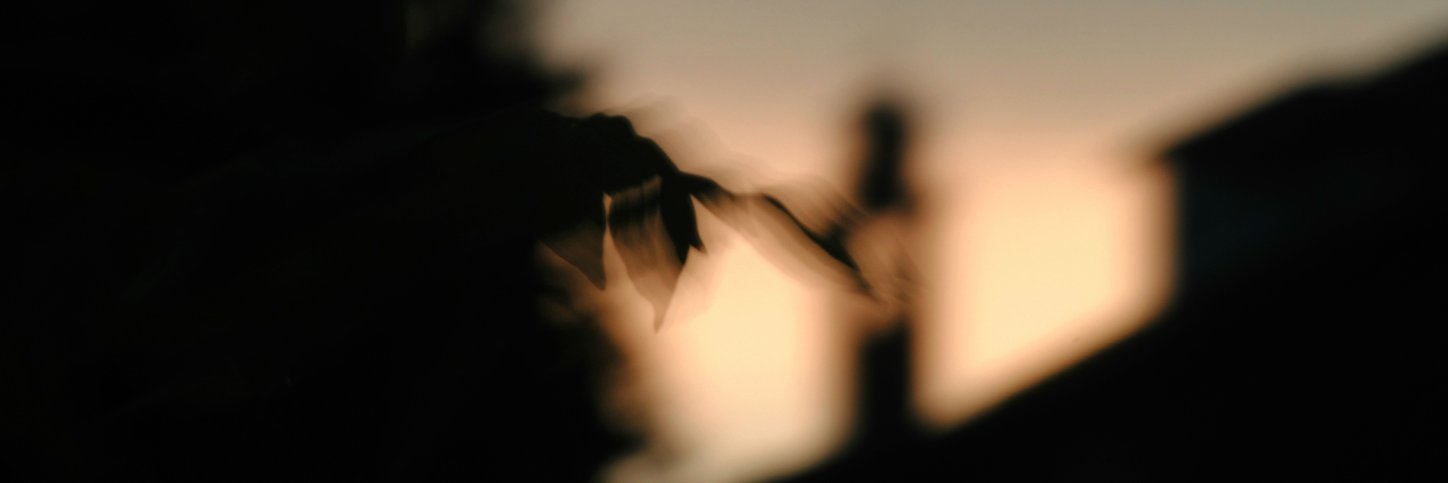 lagio_iaa's profile banner image